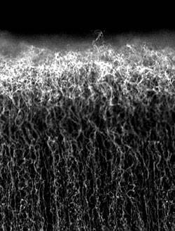 nano_capacitor.jpg